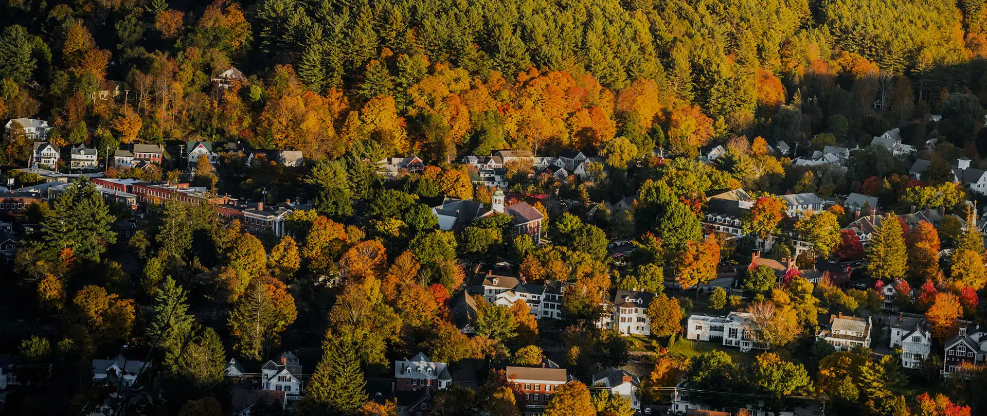 Vermont banner