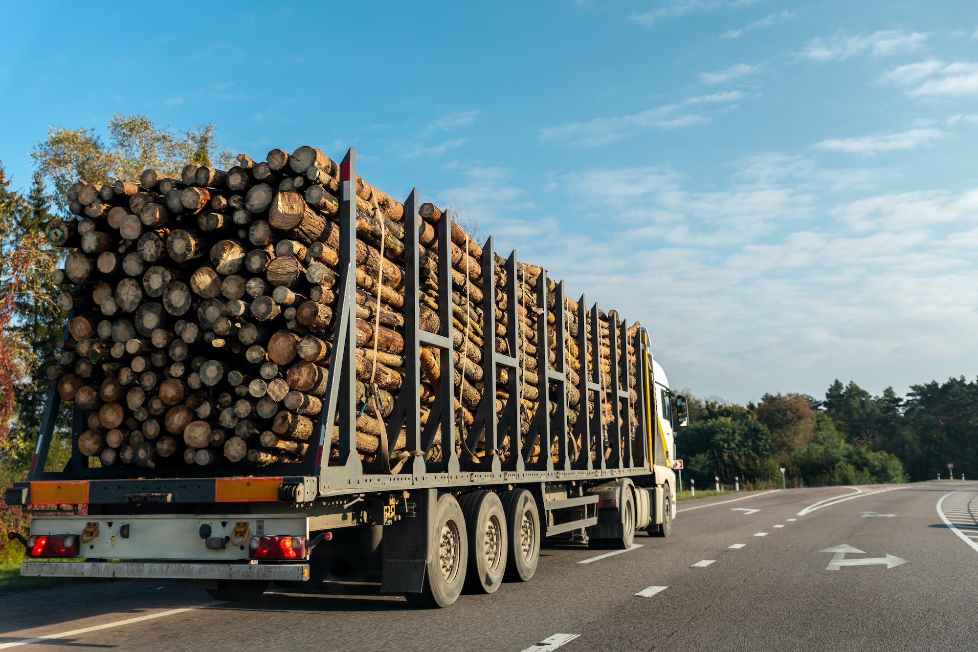 Long heavy industrial wood carrier cargo vessel truck trailer with big timber pine, spruce, cedar