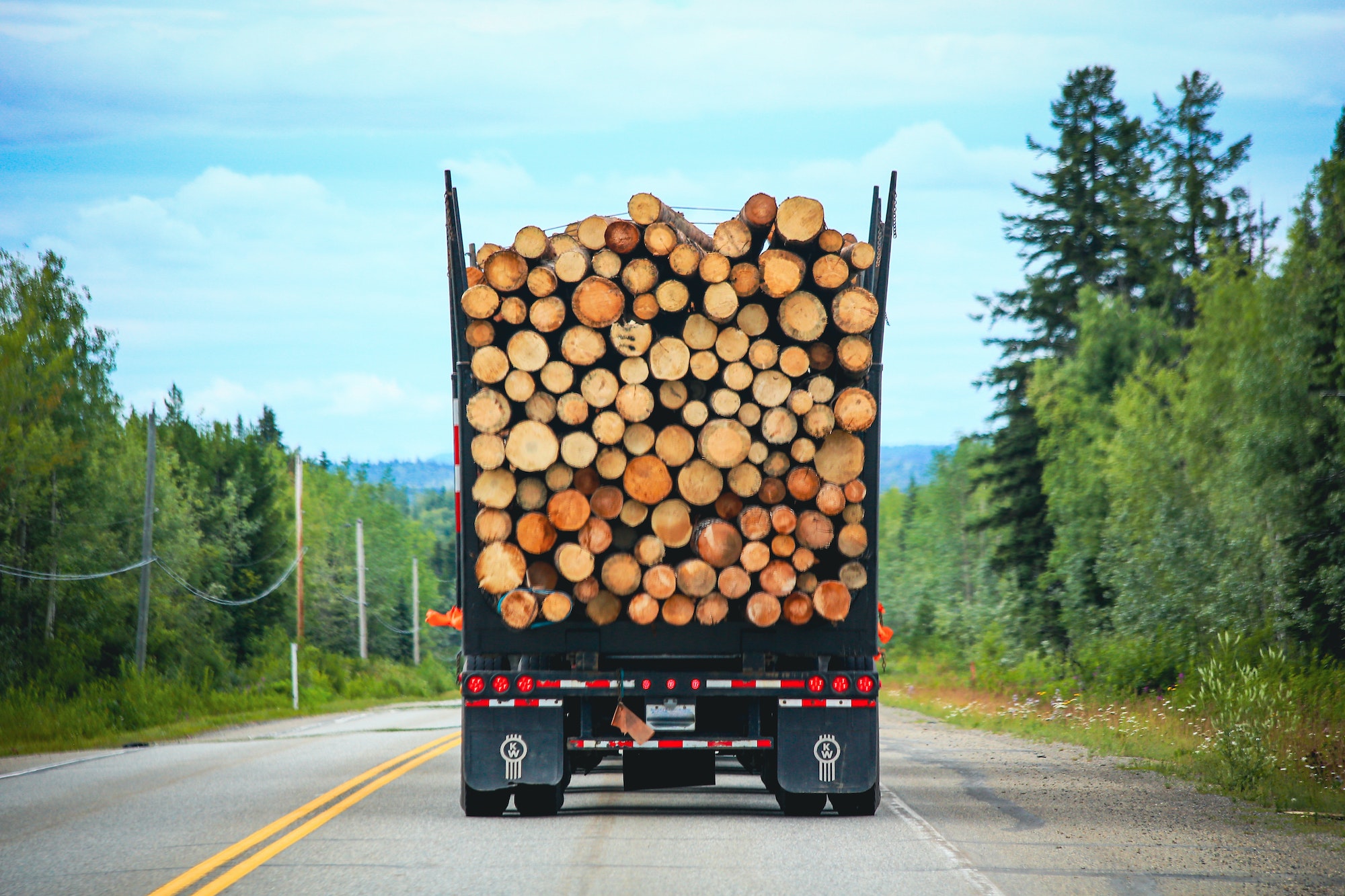 Back view of a big logging truck hauling a full load of logs down the highway.