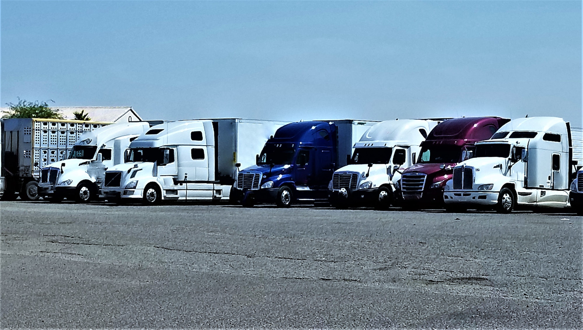 TRUCKING! Red, White and Blue Big Rigs!