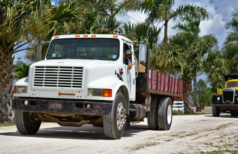 Dump Truck Weight Limits: Learn Limits of Its 3 Types 3 image 9